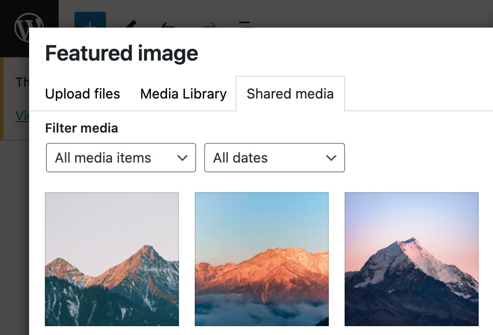 Using shared media library instead of moving it