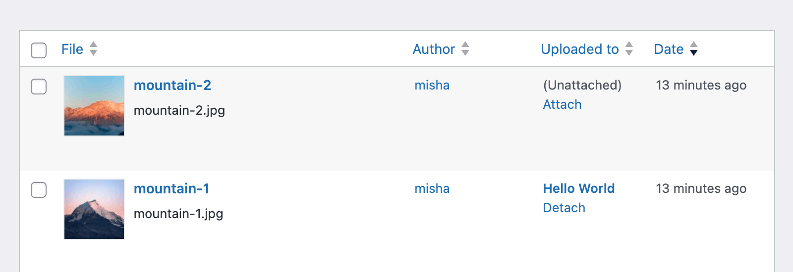 WordPress media library list view