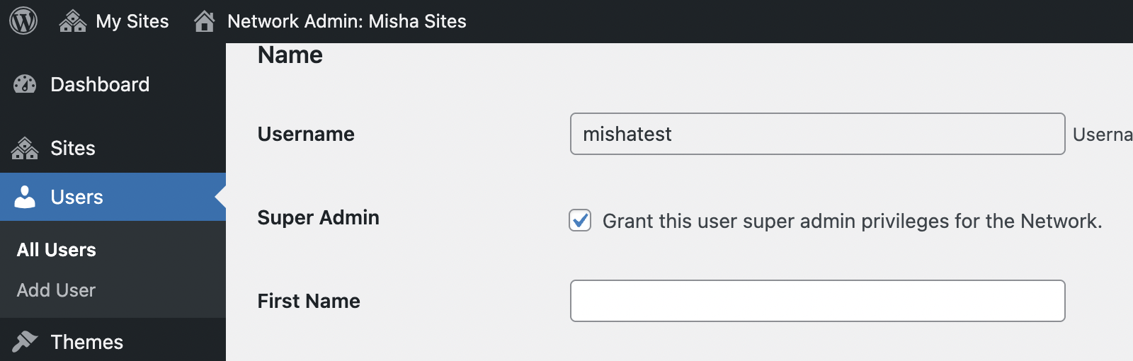 Make a user super admin in the WordPress multisite network