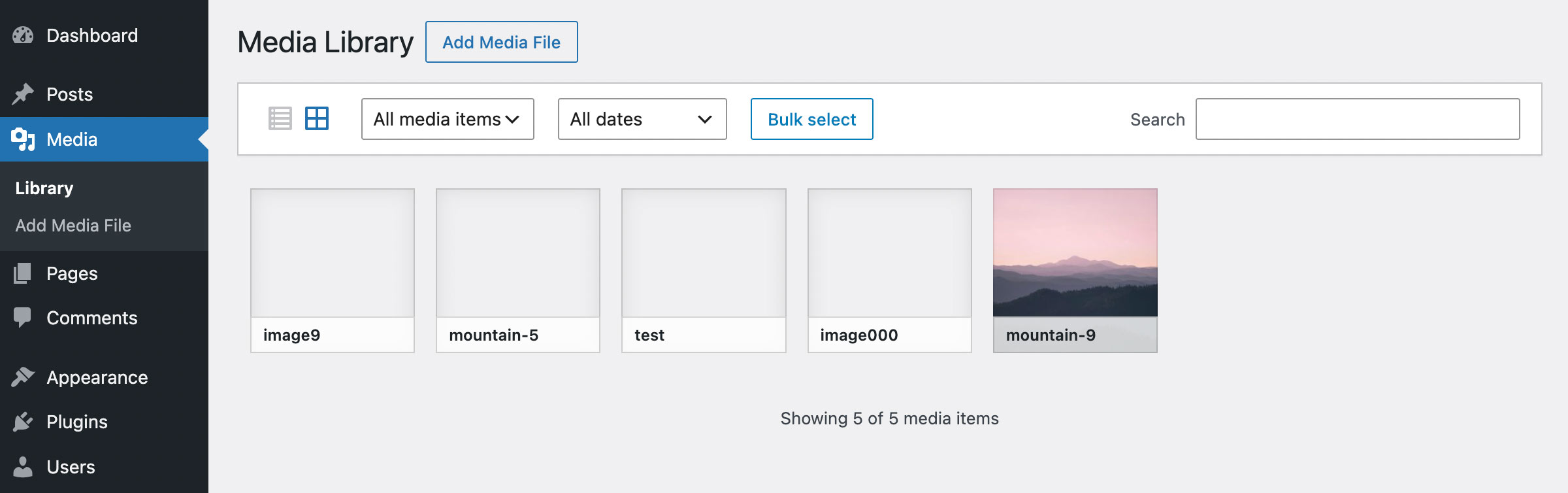 Images now showing in WordPress media library