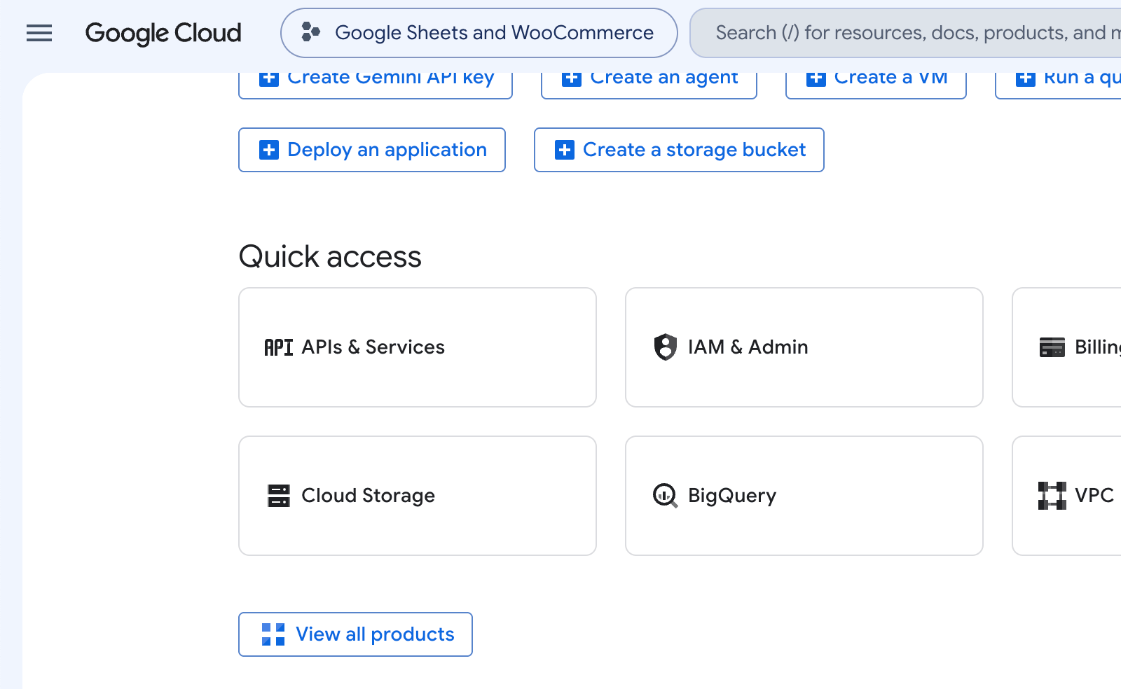 Google Cloud API and Services section