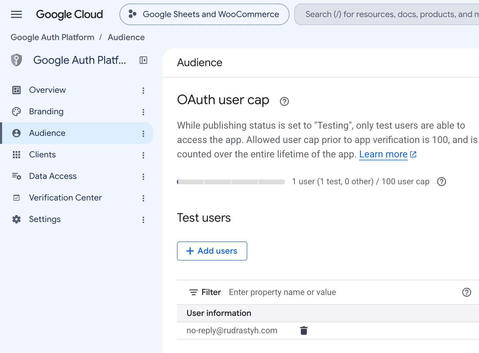 Creating a test user for Google OAuth